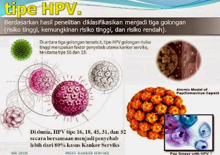 virus hpv penyebab kutil kelamin