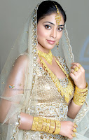 Shriya Saran spicy picture with Diamond & Gold Jewellery