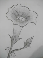 Harmony Arts Academy Drawing Classes Thursday 18-July-19 Anusha Yogesh Bhojane 11 yrs Flower Nature Drawing Drawing Grade Pencils, Paper SSDP - Pencil Sketching