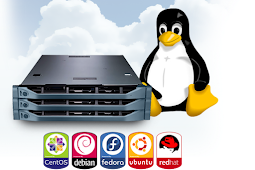 5 Distro Linux  Untuk Server Terbaru!!!