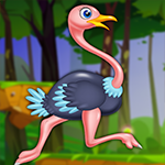 G4K Playful Ostrich Escape
