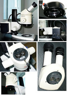 Stereoskopik mikroskoplar