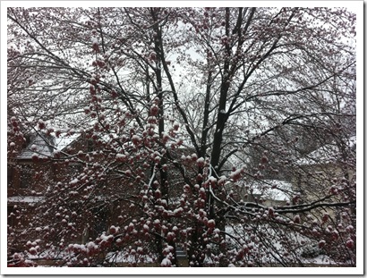 March 30, 2011
