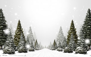 Natural Christmas Tree Background