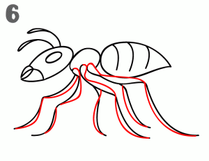  Cara  Mudah Belajar  Menggambar  Semut  Untuk Anak 