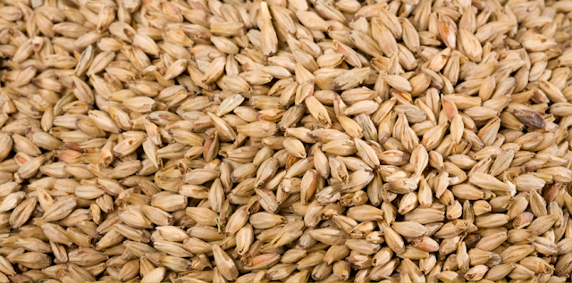 keeping grain fresh for brewing