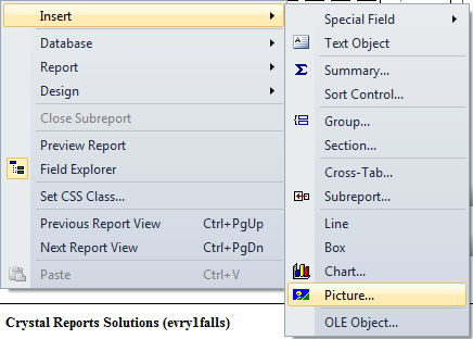 Crystal Reports 2010 is not inserting images in the report