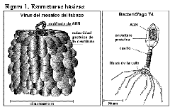 clip_image002