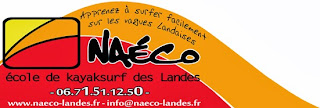  NAECO