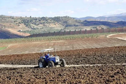 أخبار المغرب: التساقطات المطرية تخدم تطلعات الموسم الفلاحي وتدعم الانتعاش الاقتصادي