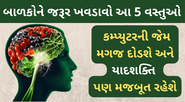 જો તમારે પણ તમારા બાળકોનું મગજ કોમ્પ્યુટર એવું તેજ અને યાદ શક્તિ મજબૂત બનાવવી હોય તો ખવડાવો આ 5 વસ્તુઓ 