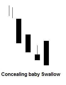 Concealing baby swallow patroon