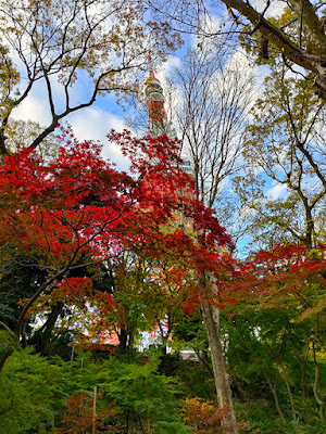 紅葉 東京タワー