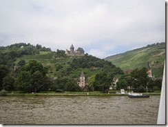 Rhine River Cruise 15