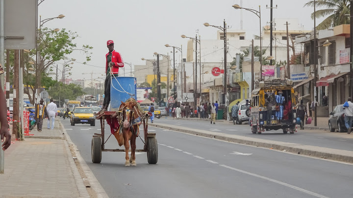 Some horse is used as donkey in Dakar