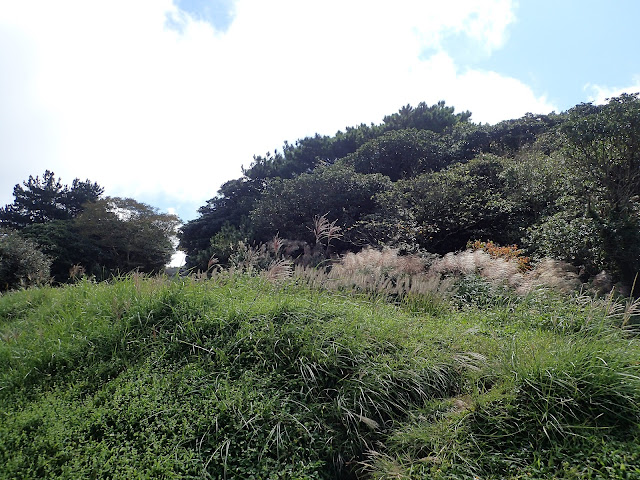 PA250013.JPG