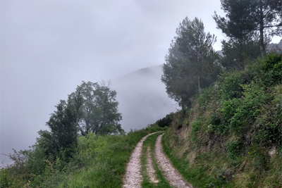 Camino Las Tasugueras