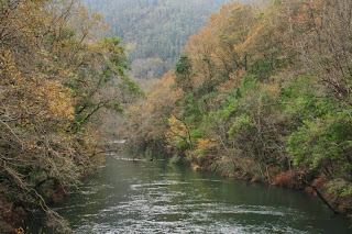 Fragas, bosques, humedad, otoño,m galicia, paisajes vivos, Munimara,