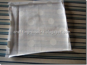Purse Bag (3)