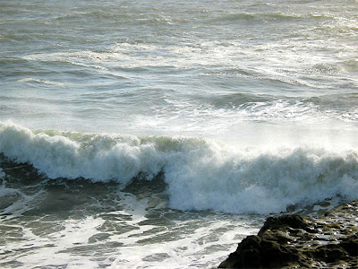 El Poder del Oceano