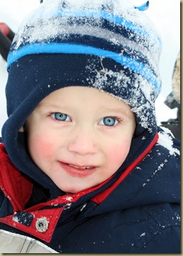 Gavin