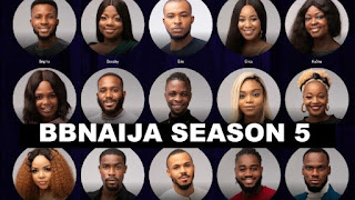 BBNaija 2020 Voting Results From Week One Released By Multichoice