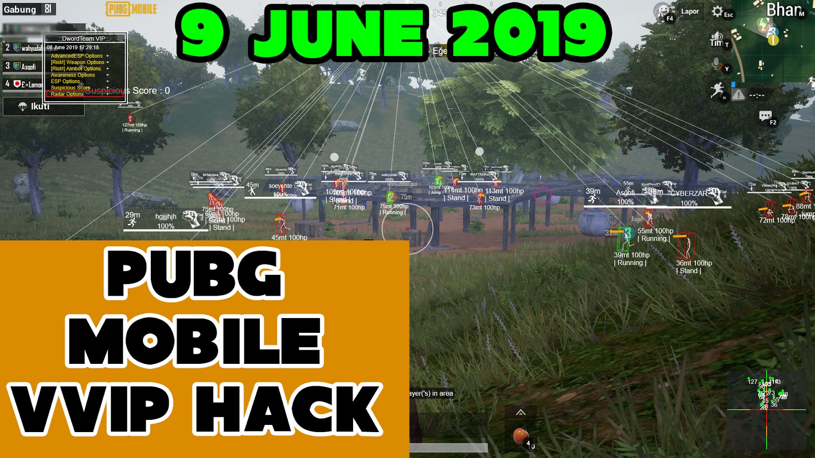 Pubg Mobile Pvvip - 