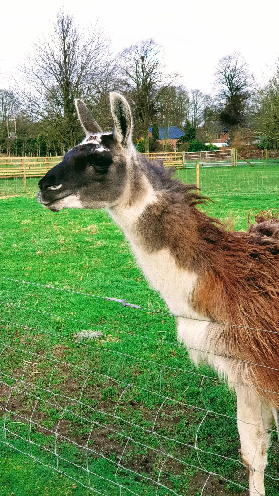 Fashion By Claire Justine: A Day At The Farm