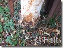 DSCF0695
