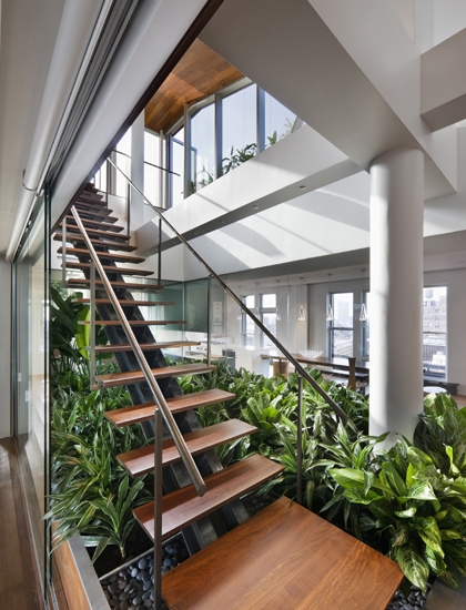 Photo of wooden staircase leading to the rooftop terrace with vegetation below