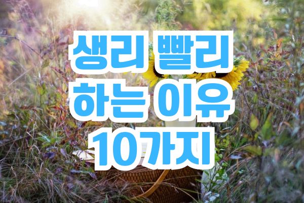 생리-빨리-하는-이유
