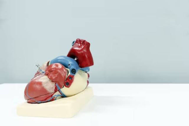heart disease and erectile dysfunction heart disease and erectile dysfunction