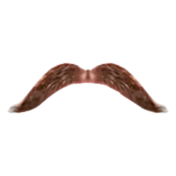 Free Moustache PNG Transparent Image