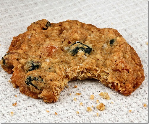 oatmeal-cookies-5