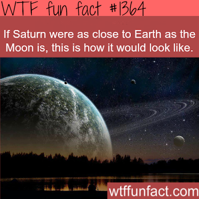 WTF fun fact #1364