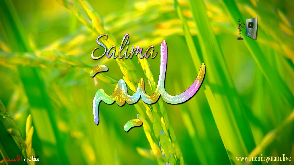 معنى اسم, سليمة, وصفات, حاملة, هذا الاسم, Salima,