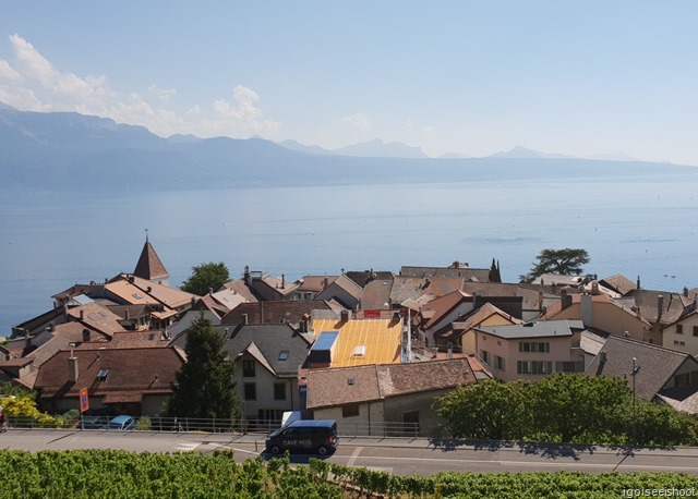 Hiking the Wine Trail of Lavaux - Route Petite-Corniche