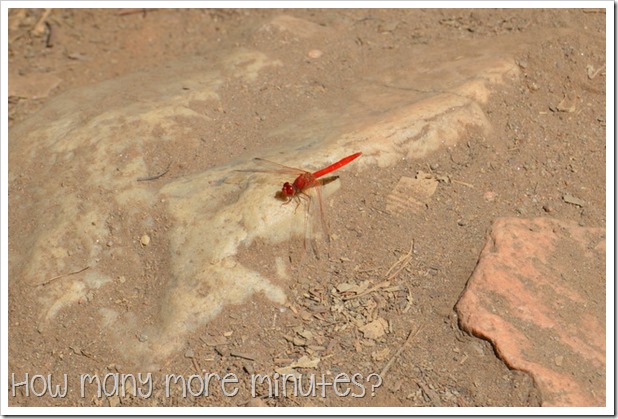 Standley Chasm | How Many More Minutes?