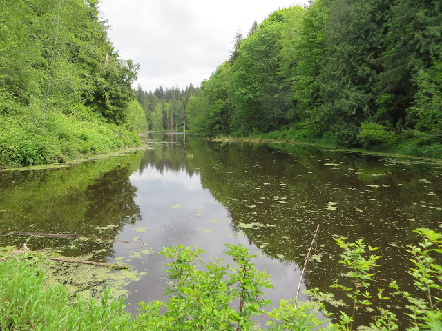 Stimpson Family Nature Reserve