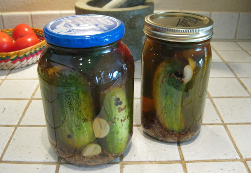 Zesty Dill Pickles