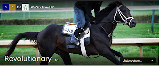 Revolutionary, Kentucky Derby, horse, image