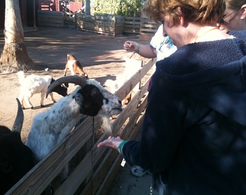 photo photo