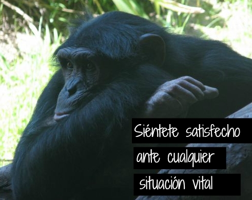 Siéntete satisfecho ante cualquier situación vital