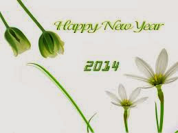 Happy New Year 2014 - Wallpapers and Salutation