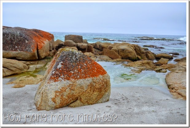 How Many More Minutes? ~ Bay of Fires, Tasmania: part two!