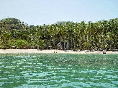 Playa Savegre, Puntarenas