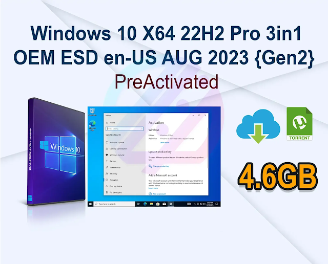 Windows 10 X64 22H2 Pro 3in1 OEM ESD en-US AUG 2023 {Gen2}