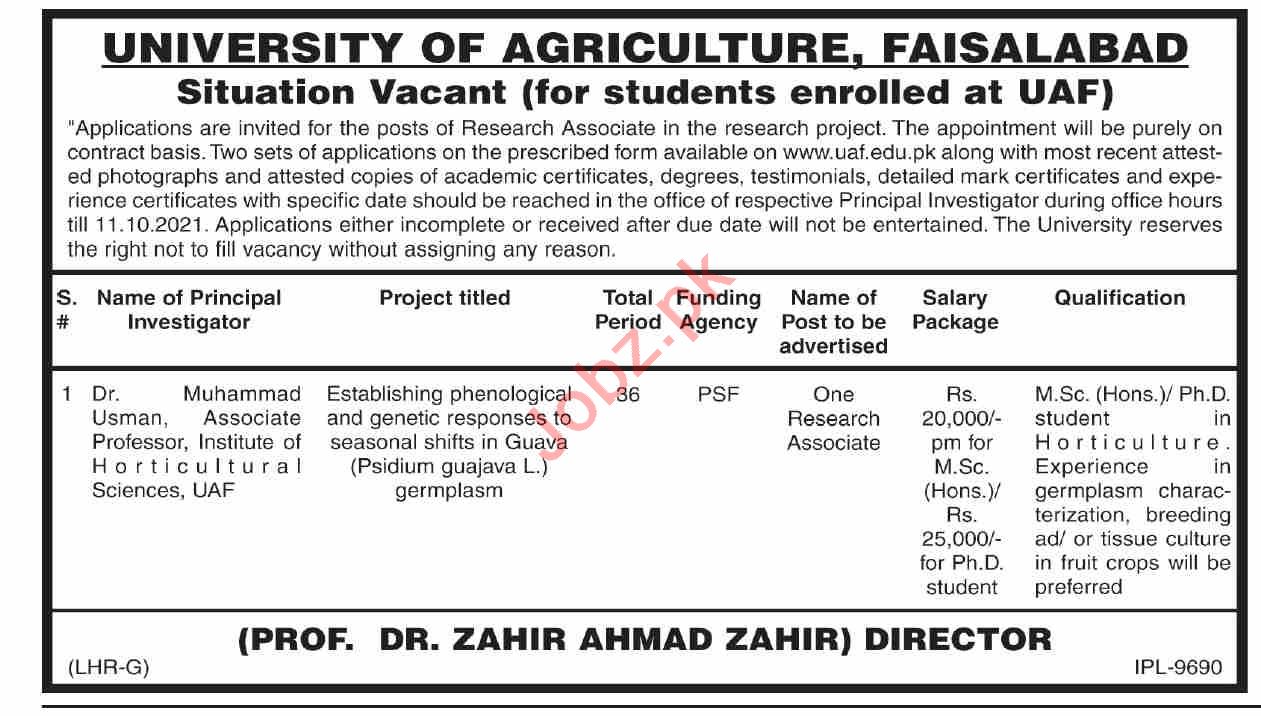 Jobs in University of Agriculture Faisalabad