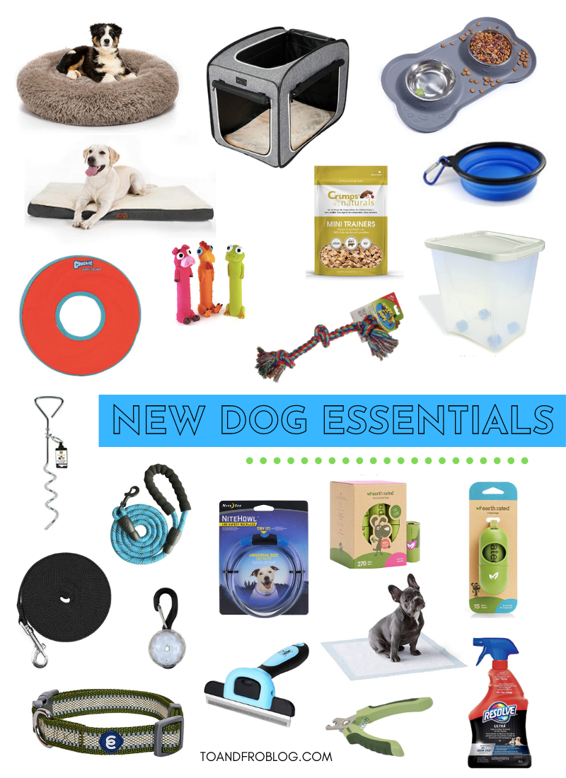 New Dog Essentials