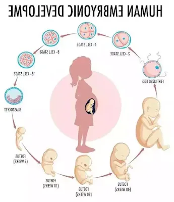 Increased fetal movement in the seventh month